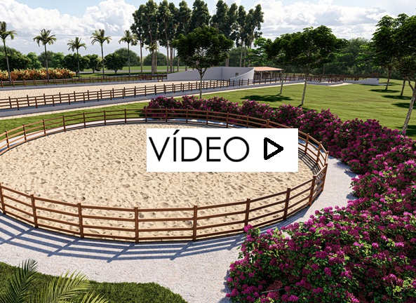 Image Video